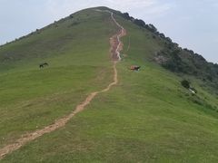 -大姆山草场