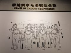 -秦始皇帝陵博物院-丽山园