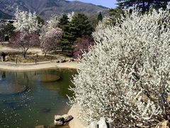 -国家植物园南园