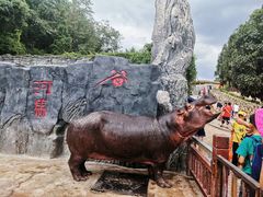 -贵州森林野生动物园