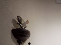 -RUMORS COFFEE ROASTERY鲁马滋咖啡(湖南路店)
