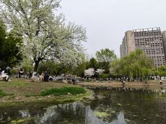 -堤角公园