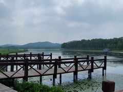 -塞罕坝国家级自然保护区