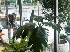 -喜茶(珠海华发商都店)