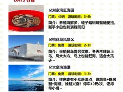 -日照灯塔风景区