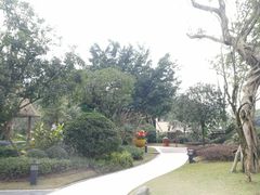 -海兰云天度假区温泉