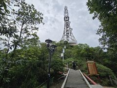 -板樟山森林公园