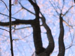-杭州植物园