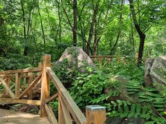 -大岭沟猕猴桃谷风景区