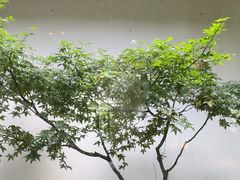 -花迹(富春江东街店)