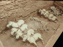 -秦始皇帝陵博物院-丽山园