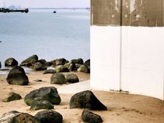 -中澳友谊花园