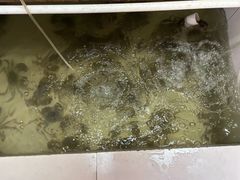 -小陆莲花蟹园农家乐(莲花岛店)