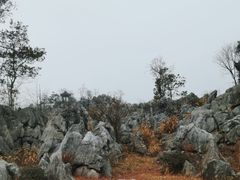 -千岛湖石林