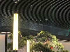 -绿茶餐厅(成都大悦城店)