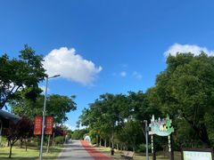 -上海长兴岛郊野公园