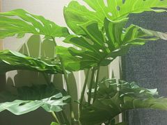 -万泊酒店(长沙五一广场国金中心店)