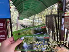-大奇山国家森林公园