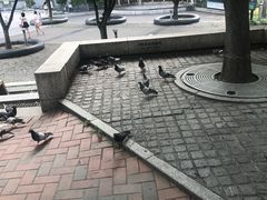 -梨大女人街