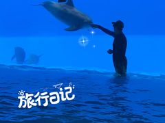 -横琴湾水世界