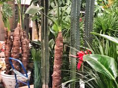 -秦美花卉(天朗·莱茵小城2期店)