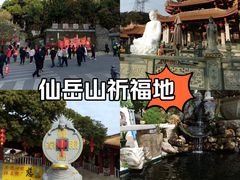 -仙岳公园