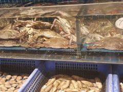 -老济南·地道济南菜(大明湖店)