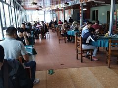 -古榕农庄·桑拿簸箕菜·招牌泥焗鸡(清远长隆店)