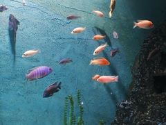 -苏州海洋馆
