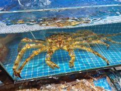 -醉壹号海鲜大排档·老厦门特色菜(厦门美食地标店)