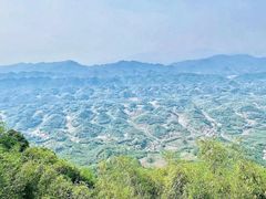 -蜀南竹海景区