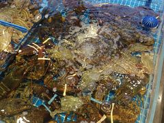 水产区-双合园·海鲜水饺青岛菜(九水东路店)