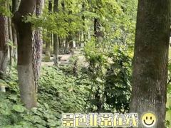 -黄岩国际大酒店·餐厅