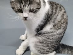 -蓝天射箭馆·专业射箭运动(诚丰广场店)