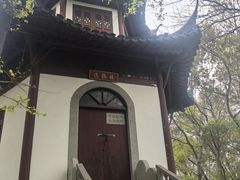 -上海佘山国家森林公园天马山园