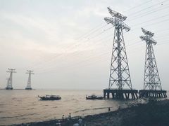 -宝安西湾红树林湿地公园