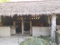 -金稼园·金平湖农家菜
