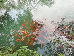 -五泄景区