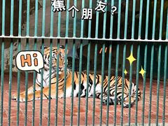 -广州动物园