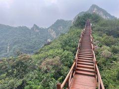 -大岭沟猕猴桃谷风景区