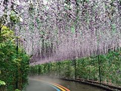 -东莞观音山旅游风景区