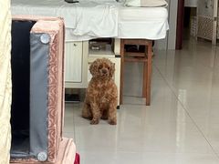 -巧手推拿中心(盲人推拿)