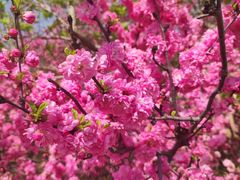 -长春公园(普阳街道)