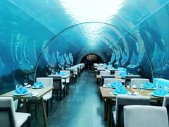 -涛·海底餐厅·美人鱼·自助餐·海底隧道(三亚海棠湾洲际度假酒店)