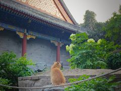 -颐和园