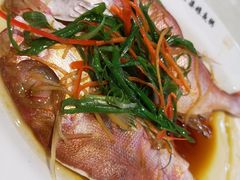 -长平老姿娘夜粥(平东一街店)