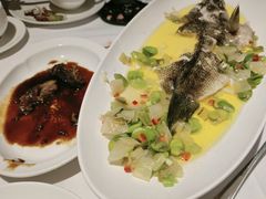 -南麓·浙里(外滩店)
