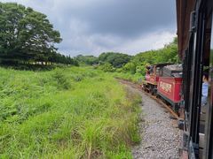 -济州森林小火车生态公园