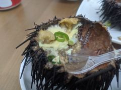 -海胆小馆(东北水饺·春柳店)