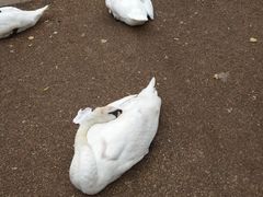 -海德公园